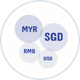 Multi-Currency Support