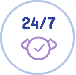 Ongoing Support & Maintenance